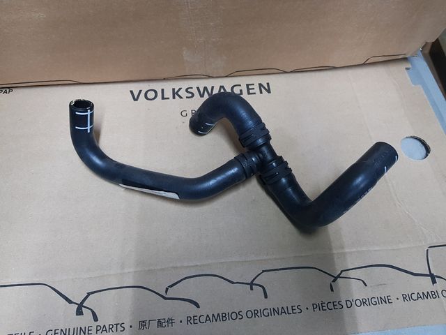 manguito grupo vag