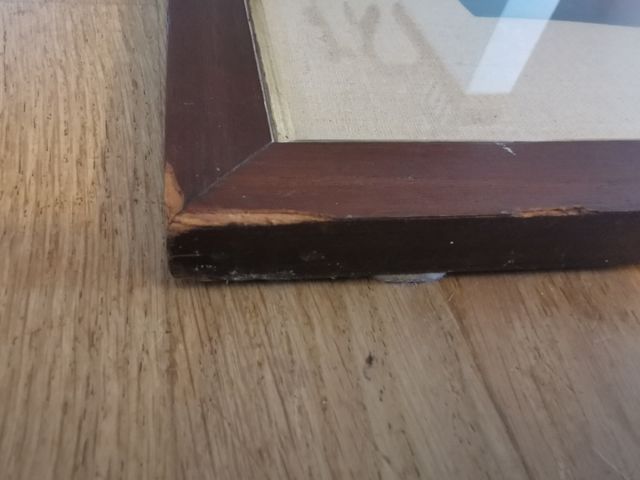 Stampa testa Madonna del Cardellino - Raffaello