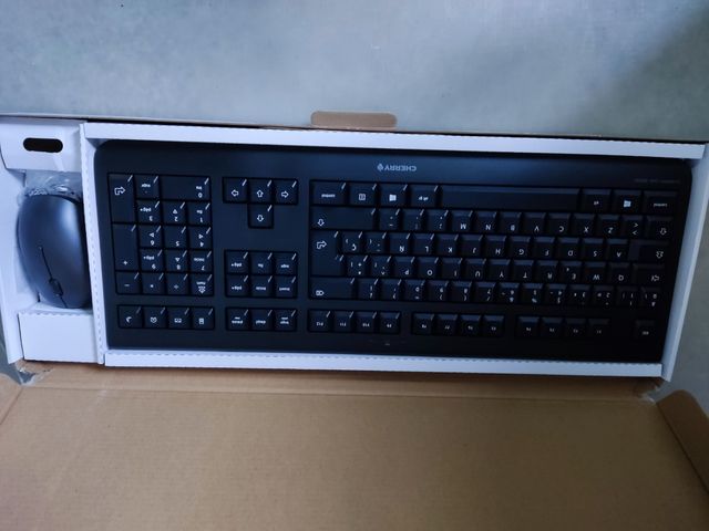 TECLADO+ RATON CHERRY DW3000