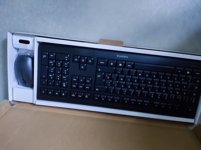 TECLADO+ RATON CHERRY DW3000