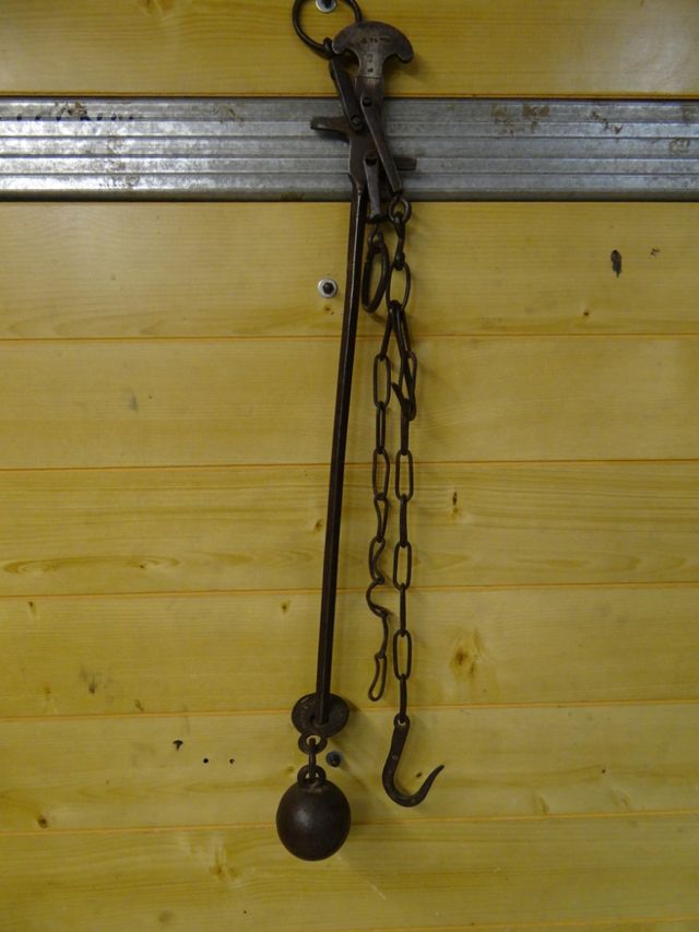 Antica Bilancia inizi 900 più stadera