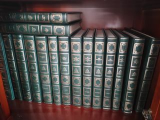 Enciclopedia y novela