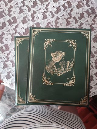 Enciclopedia y novela