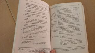 Rinconete y cortadillo