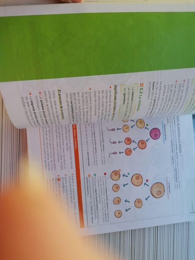 libro biología 4º de eso Anaya ISBN 9788469879894