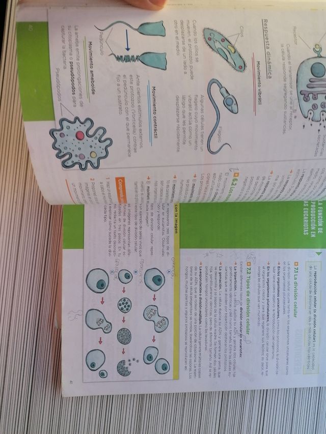 libro biología 4º de eso Anaya ISBN 9788469879894