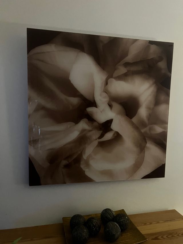 VENDO CUADRO FLOR CRISTAL  EN BLANCO Y NEGRO