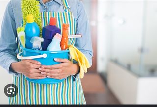 Mujer de la limpieza