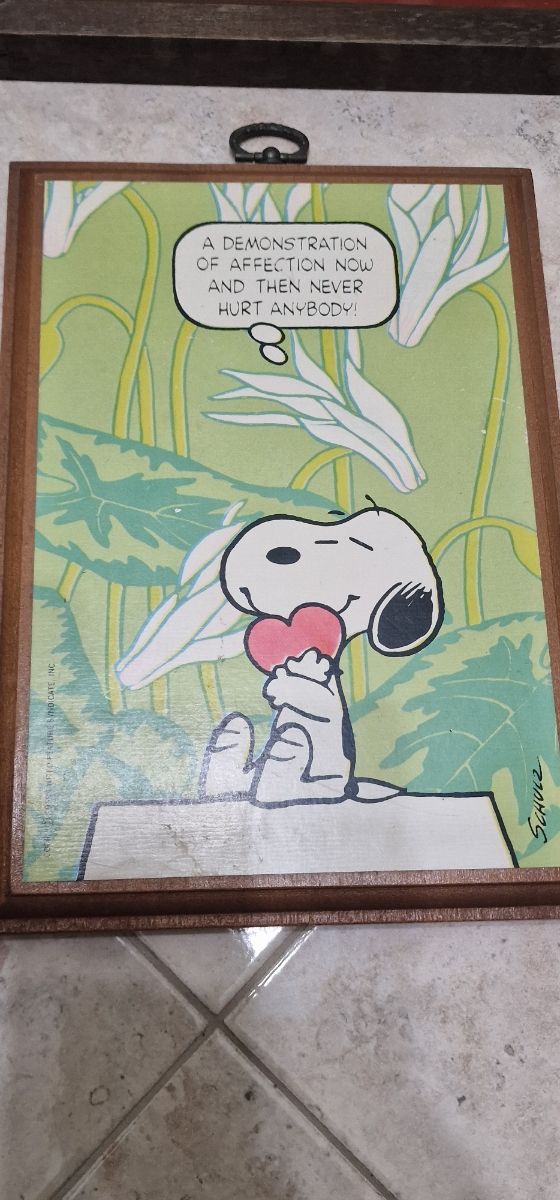 set da collezione vintage Snoopy peanuts 1988 /58 