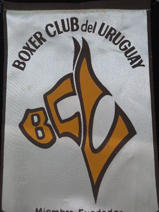 Perro BOXER BANDERIN DE SEDA MUY ANTIGUO AÑOS 70