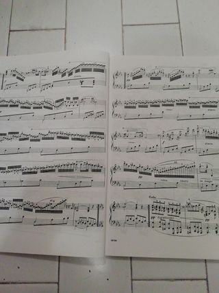 Estudios para piano de Czerny op 365