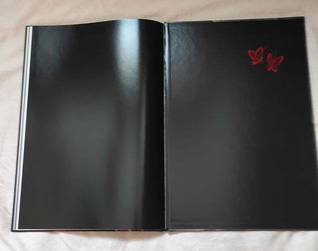 libro ilustrado Los Amantes Mariposa Benjamin Laco