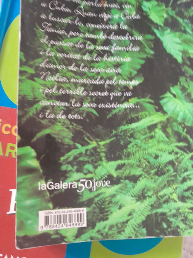 Adormit sobre els miralls