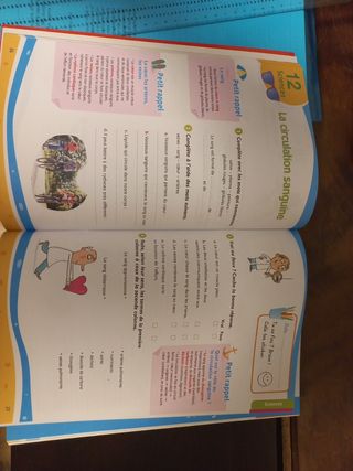 cuaderno de vacaciones liceo francés 5°primaria