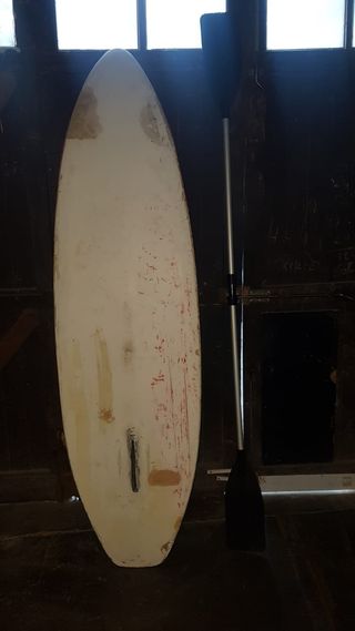 Waveboard sin remo