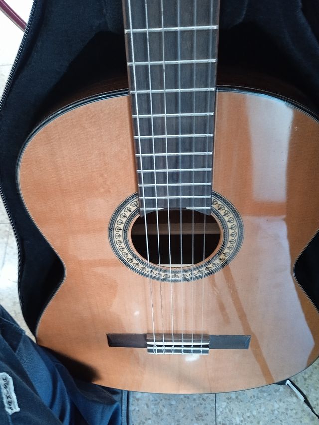 guitarra con funda .