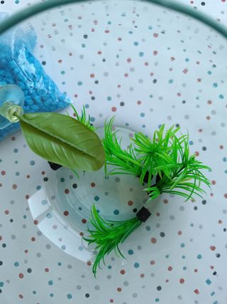 Pecera pequeña con accesorios