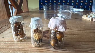 cajitas marisco miniatura y otras.