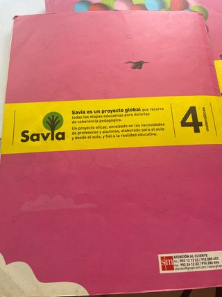 Libros de matemáticas 4 primaria