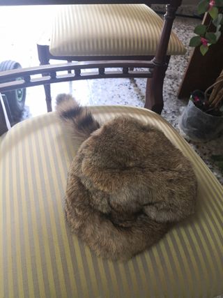 Gorro canadiense piel