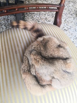 Gorro canadiense piel