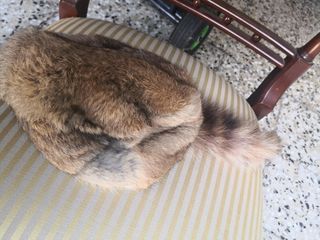 Gorro canadiense piel