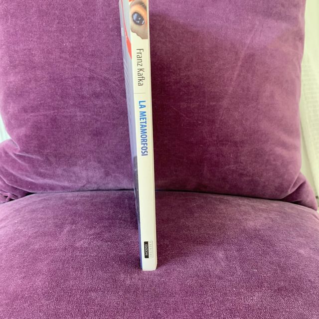 La metamorfosi e altre storie. Franz Kafka.