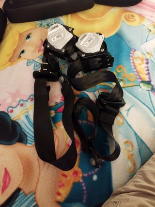 Cinturones de seguridad 