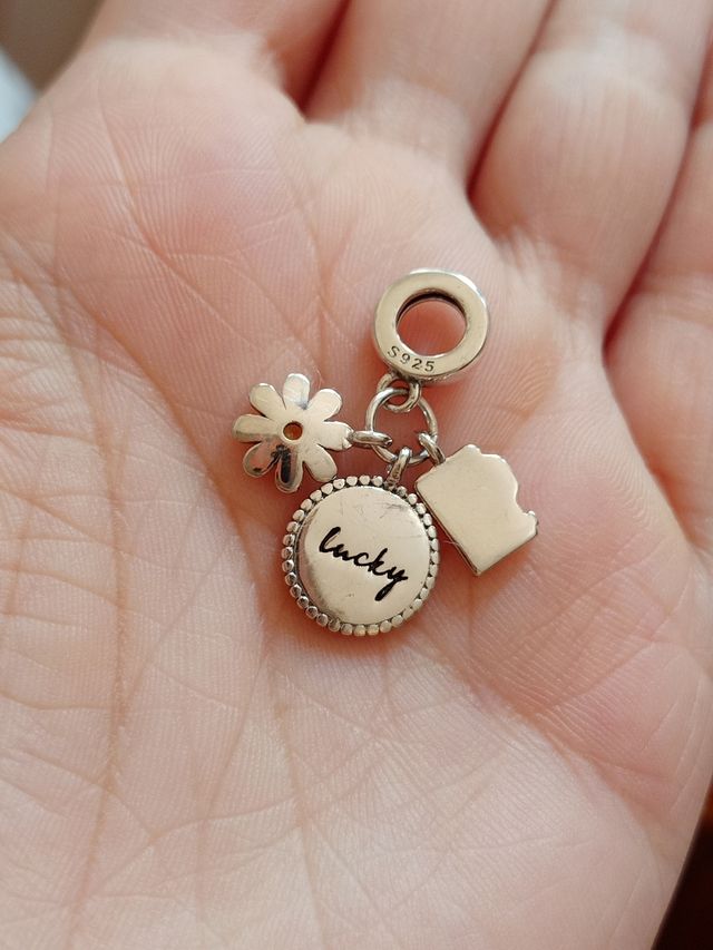 Charm Playa, cámara y margarita de plata de ley