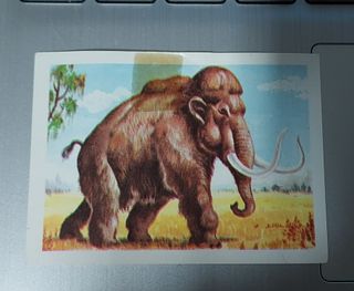 Lote dieciséis cromos diversas colecciones años 70