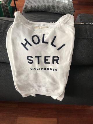 Sudadera Hollister