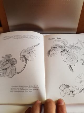 Cómo Se Dibuja y Pinta el Paisaje.