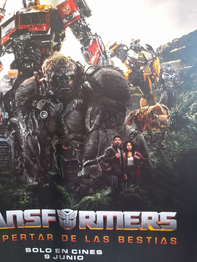 cartel  gigante de cine