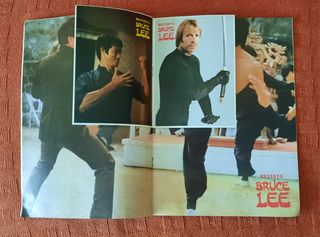 Lote Bruce Lee revista