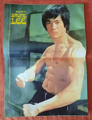 Lote Bruce Lee revista