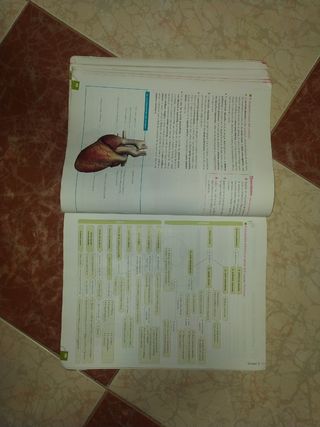 Libro Anatomía 1 Bachillerato Anaya