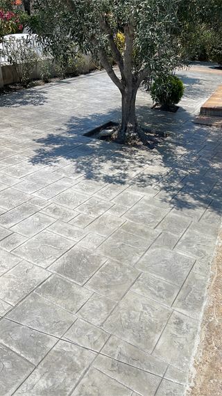 Vane 
