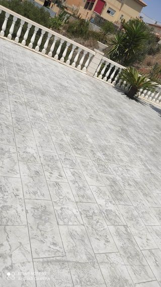 Vane 