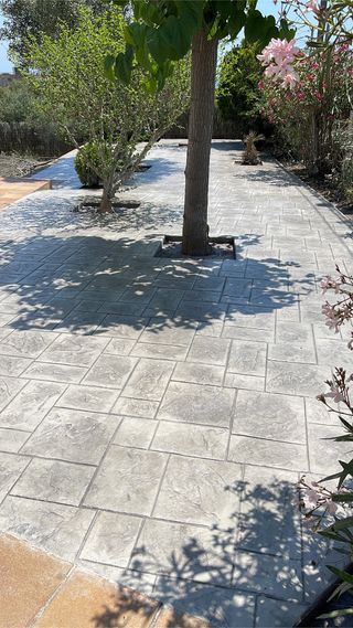 Vane 