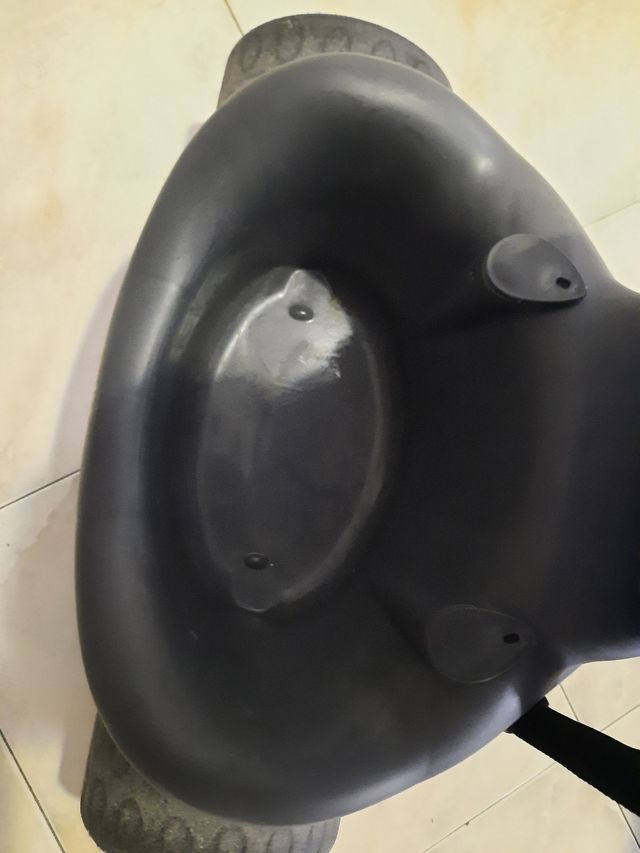 Triciclo evolutivo Molto