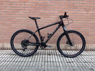Scott scale carbono