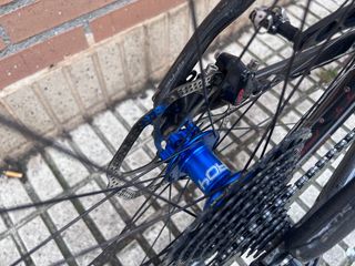 Scott scale carbono