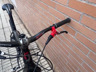 Scott scale carbono