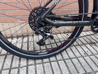 Scott scale carbono