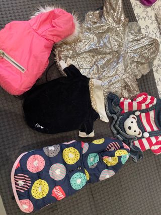 Chubasquero, ropa para perra