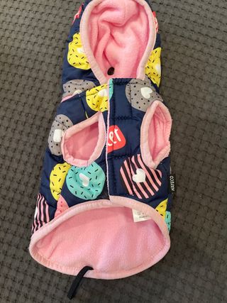 Chubasquero, ropa para perra