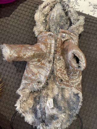 Chubasquero, ropa para perra