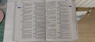 Diccionario RAE Primaria Anaya