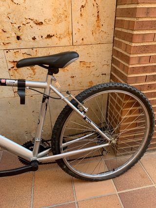 Bicicleta adulto