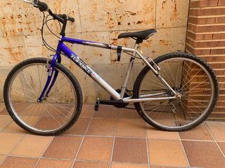 Bicicleta adulto